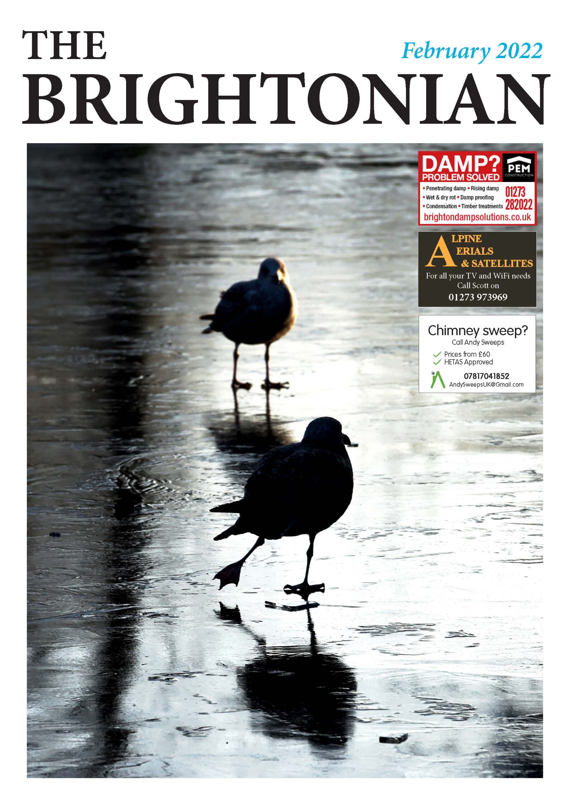 The Brightonian